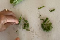 How to Chiffonade Herbs Like a Pro: Perfectly Thin Herb Slices
