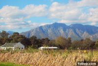 Stellenbosch Wine Tasting Tour: Sunday Wine Experiences in SA