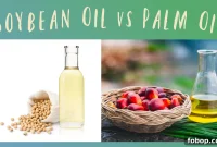 Soybean Oil vs Palm Oil: Health, Uses, and Environmental Impact