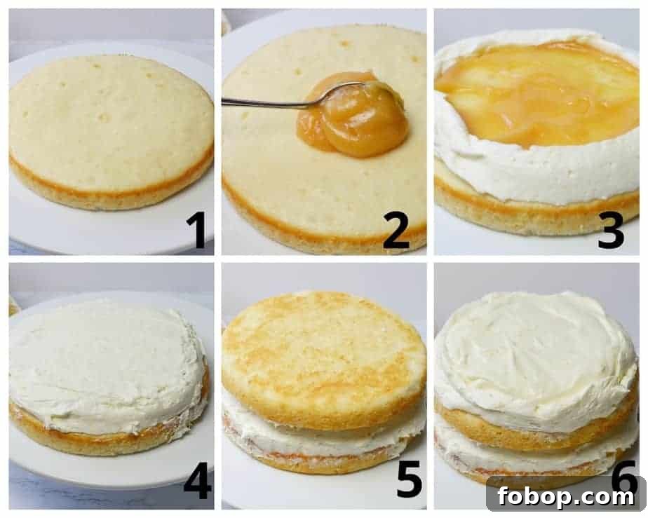 6 pictures showing how to assemble lemon cheesecake cake
