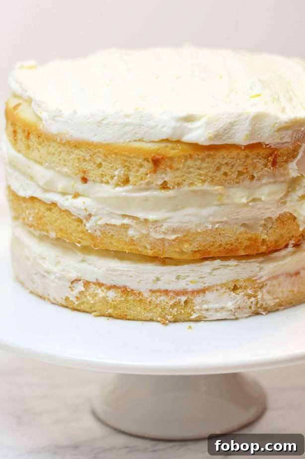 3 layers of cake with filling and frosting on top make a naked cake
