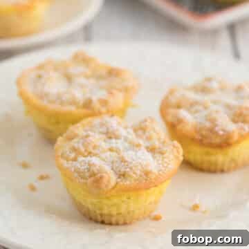 Cheesecake Muffins: Tangerine, Crumble & Chocolate Variations 6 variable cheesecake muffins