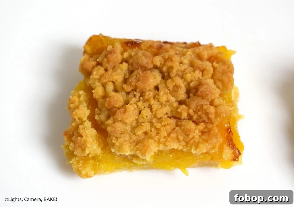 Lemon Curd Shortbread Crumble Bars 5 Lemon crumble on a white background.