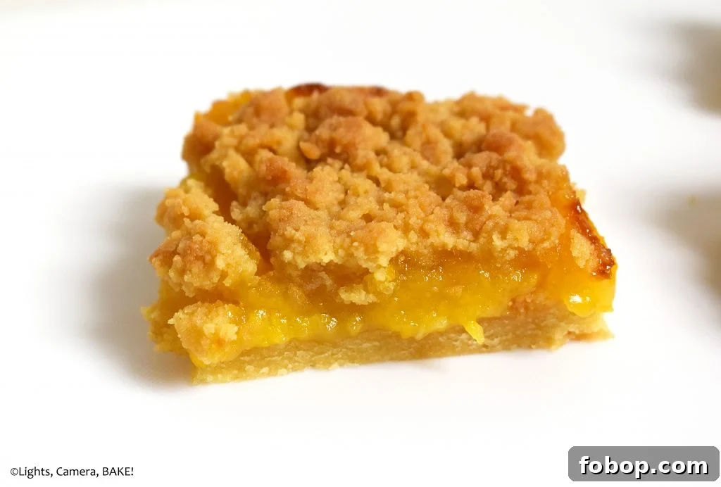 Lemon Curd Shortbread Crumble Bars 7 Lemon curd shortbread crumble.