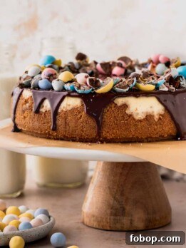 Easter Egg Cheesecake Recipe with Decorative Candy Topping 14 Easter egg cheesecake on a cake stand surrounding by mini eggs.