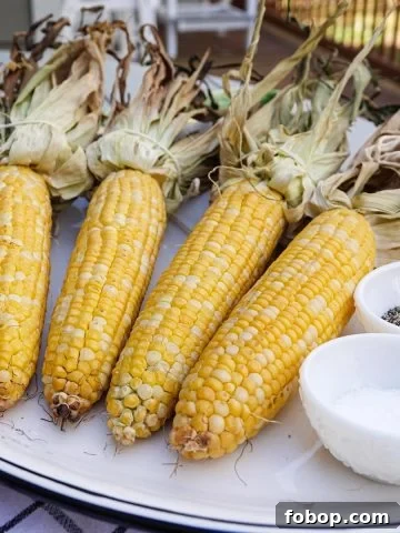 Corn on plate with salt and pepper