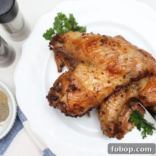 Southern Soul Food Turkey Wings