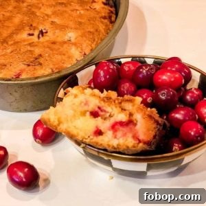 Southern Cranberry Cornbread Recipe