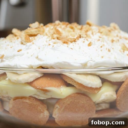 Black Southern Banana Pudding