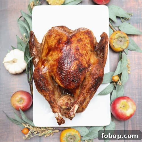 Christmas Turkey Recipe