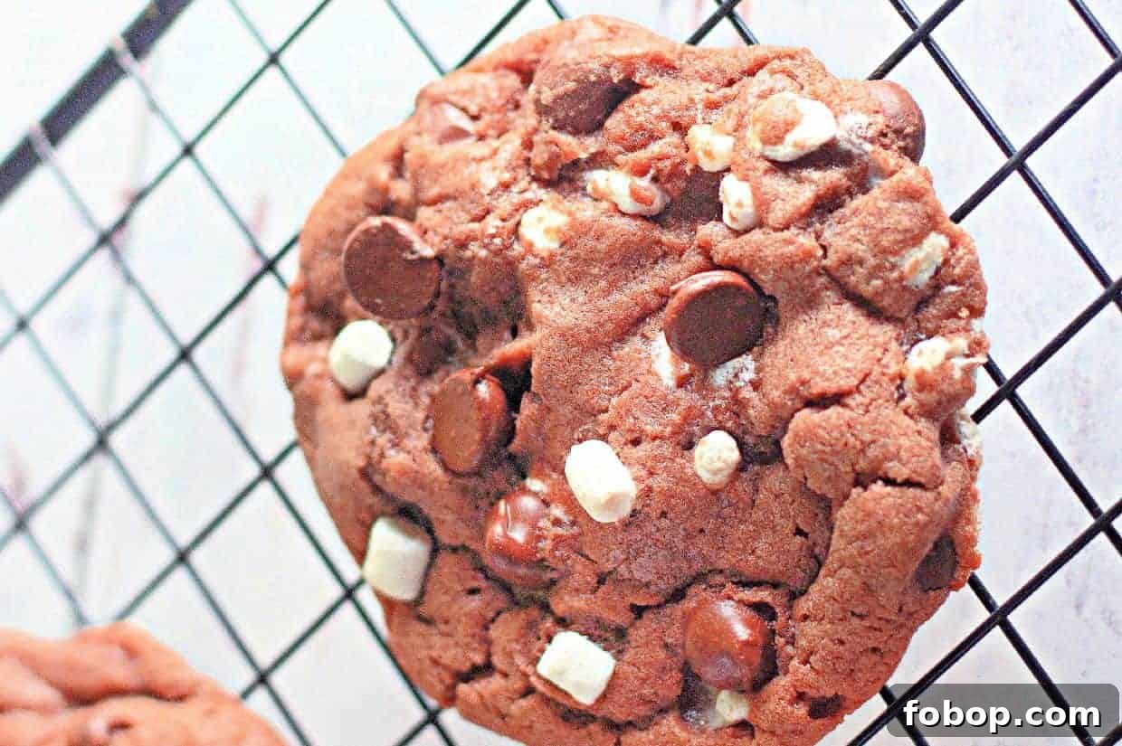 25 Office Cookies Everyone Brings and Raves About 3 A close-up of a cocoa chip cookie with white and dark chocolate chunks resting on a black cooling rack.