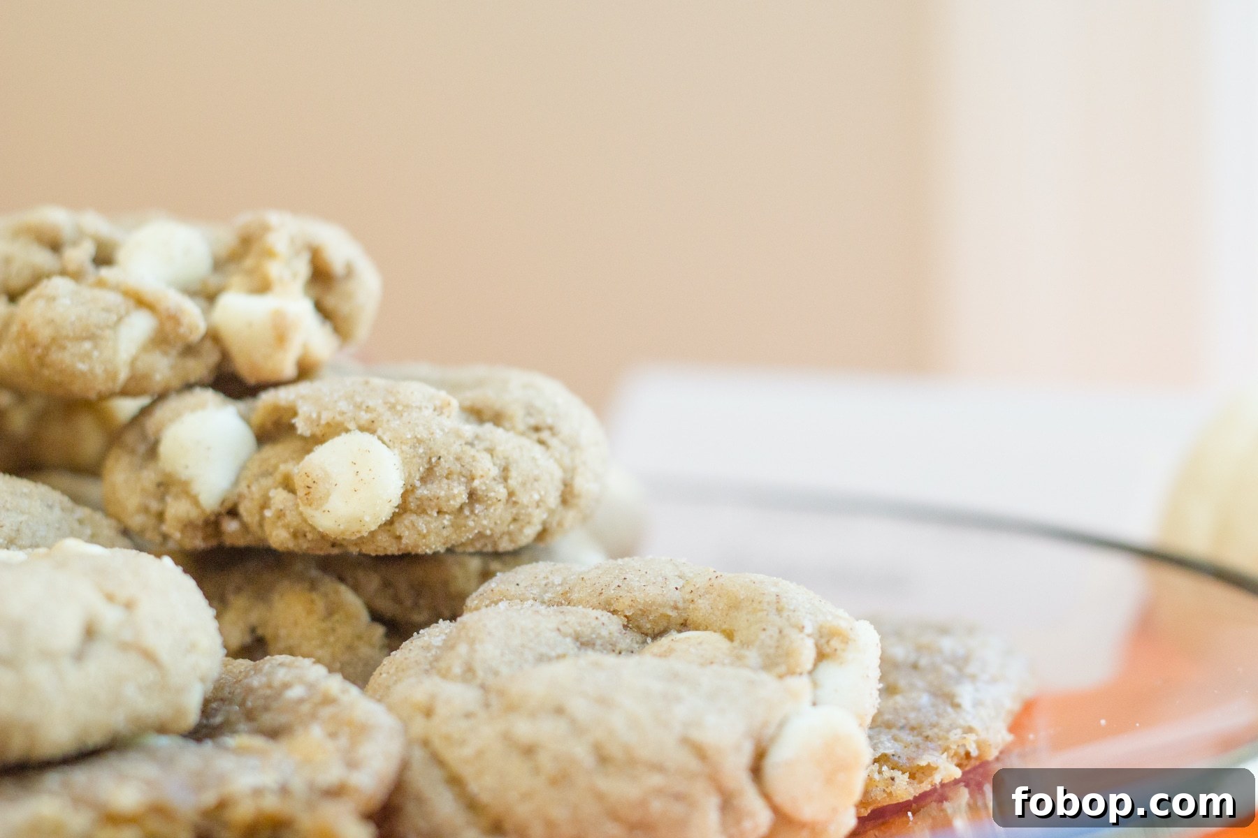 Cinnamon White Chocolate Chip Cookies — Soft & Chewy Recipe 3 White Chocolate Cookies with Cinnamon