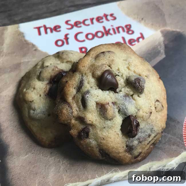In Between Chocolate Chip
