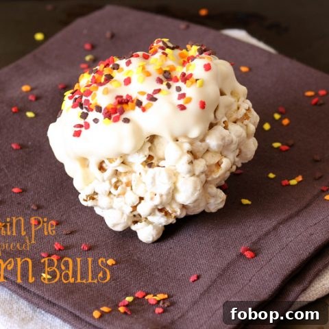 Pumpkin Pie Spiced Popcorn Balls