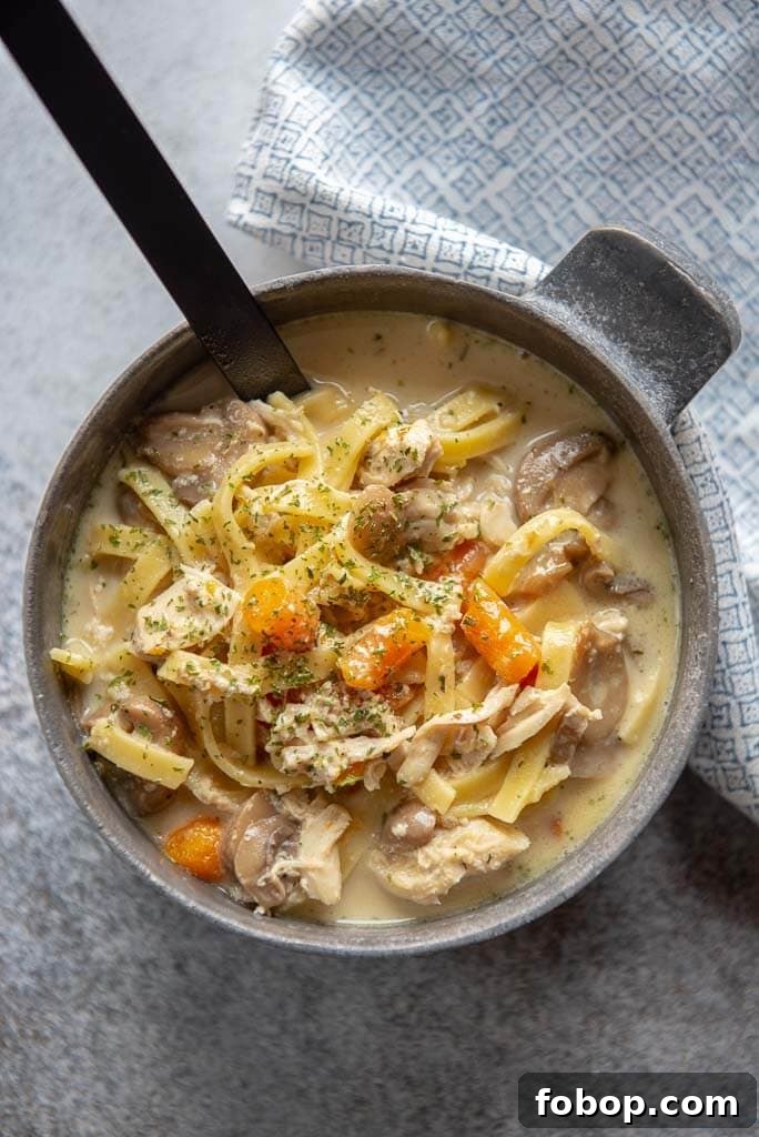 chicken noodle soup from the instant pot in a metal bowl