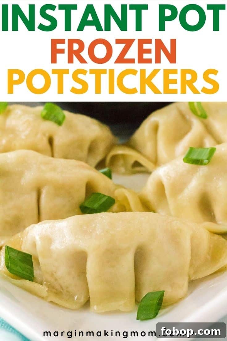 Instant Pot Frozen Dumplings (Potstickers) in Minutes 12 close-up view of frozen potstickers cooked in the Instant Pot