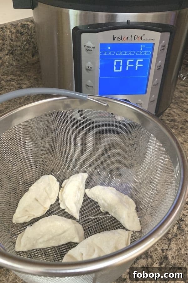 Instant Pot Frozen Dumplings (Potstickers) in Minutes 4 5 frozen Asian dumplings, or potstickers, in a steamer basket in front of an Instant Pot pressure cooker