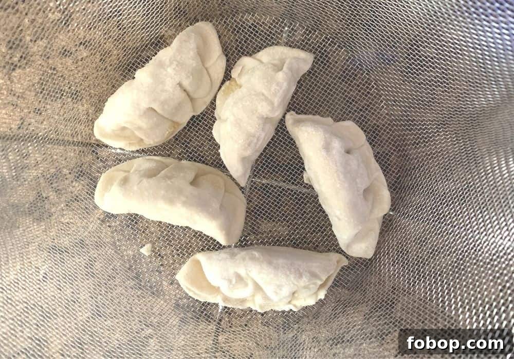Instant Pot Frozen Dumplings (Potstickers) in Minutes 6 Five frozen dumplings in a steamer basket.
