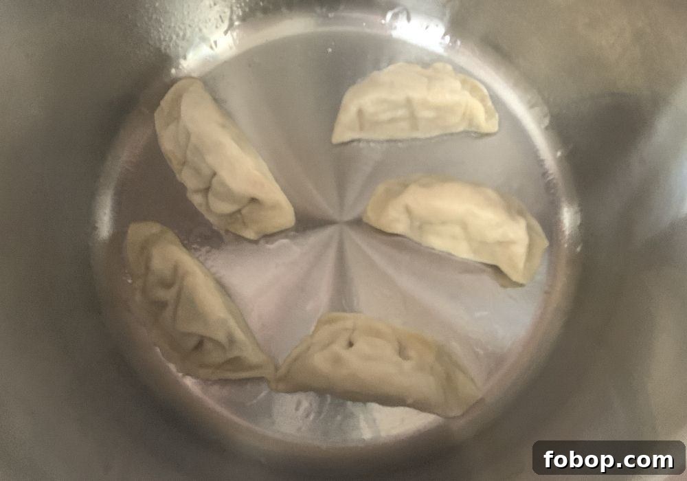 Instant Pot Frozen Dumplings (Potstickers) in Minutes 7 Frozen dumplings recently steamed in the Instant Pot are being browned in hot oil in the insert pot, using the Saute function.
