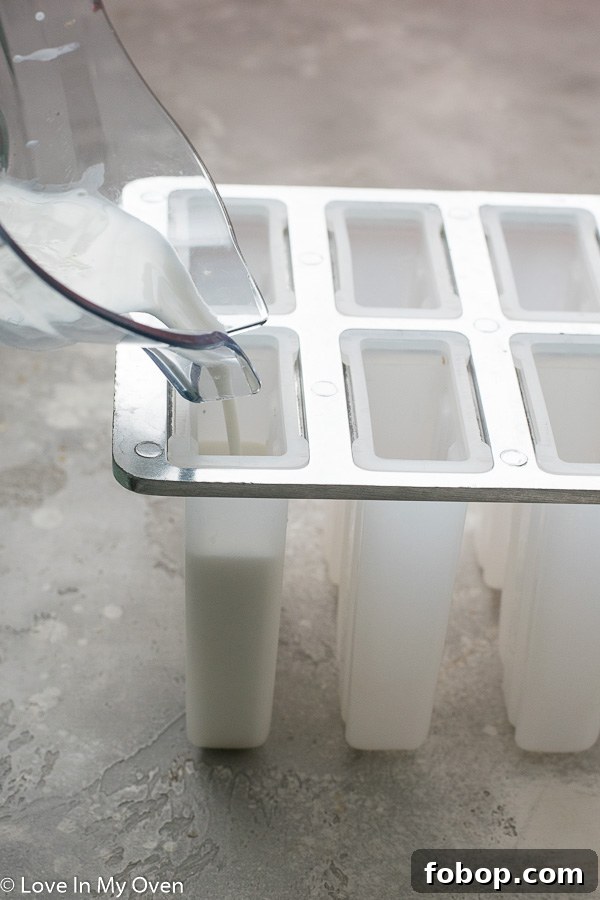 Coconut Lime Popsicles Recipe — Refreshing Frozen Treats 4 img 15008 3