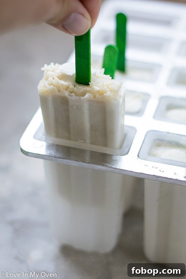 Coconut Lime Popsicles Recipe — Refreshing Frozen Treats 5 img 15008 4