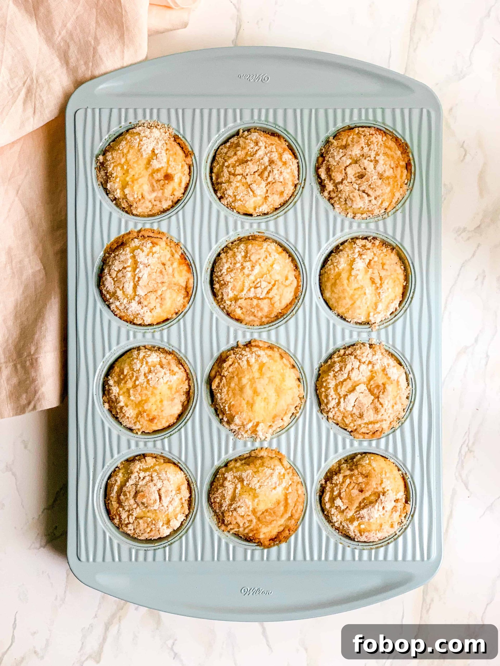 Greek Yogurt Lemon Crumb Muffins with Lighter Crumb Topping 4 img 1516 3 scaled