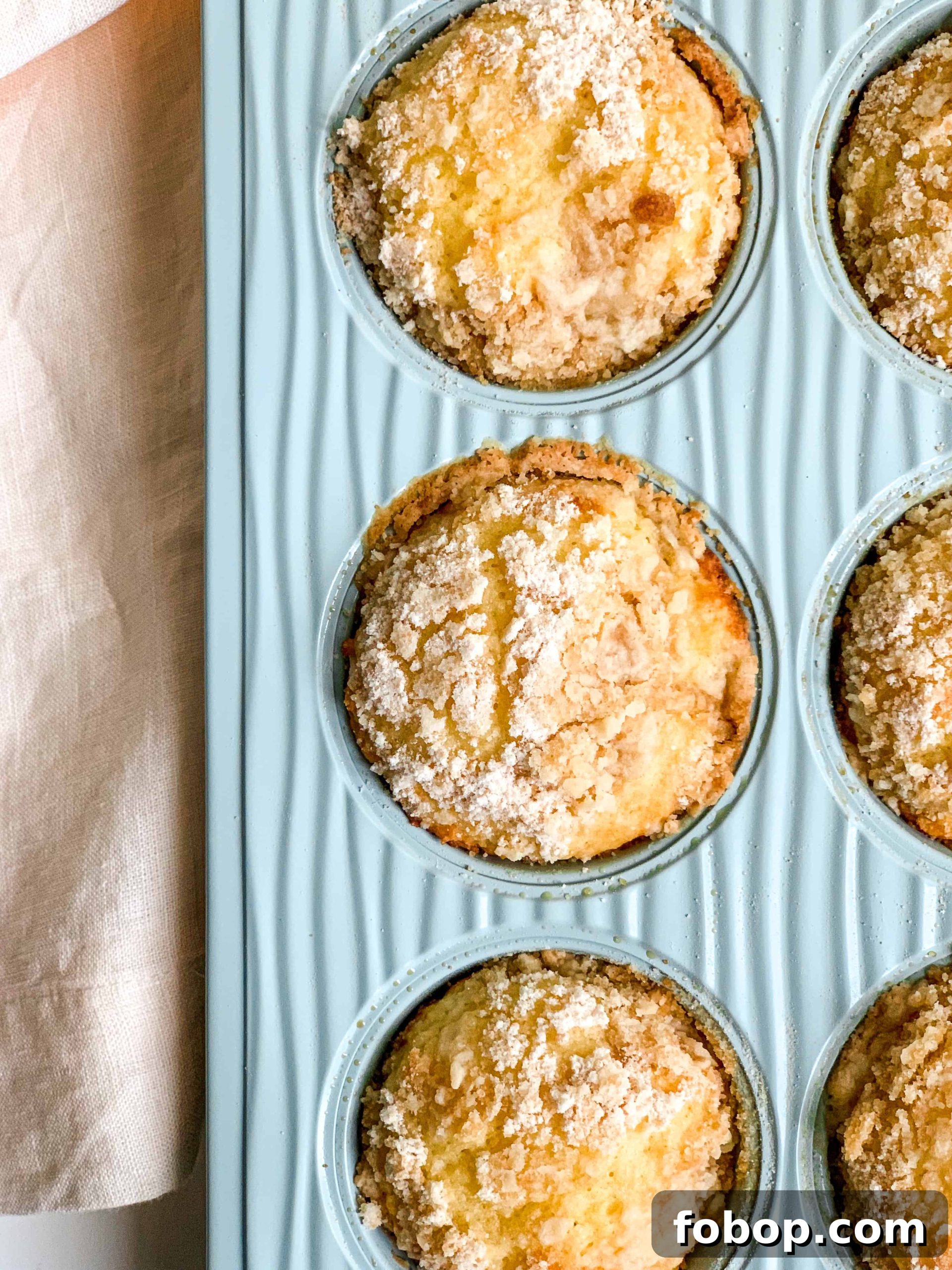 Greek Yogurt Lemon Crumb Muffins with Lighter Crumb Topping 7 img 1516 6 scaled