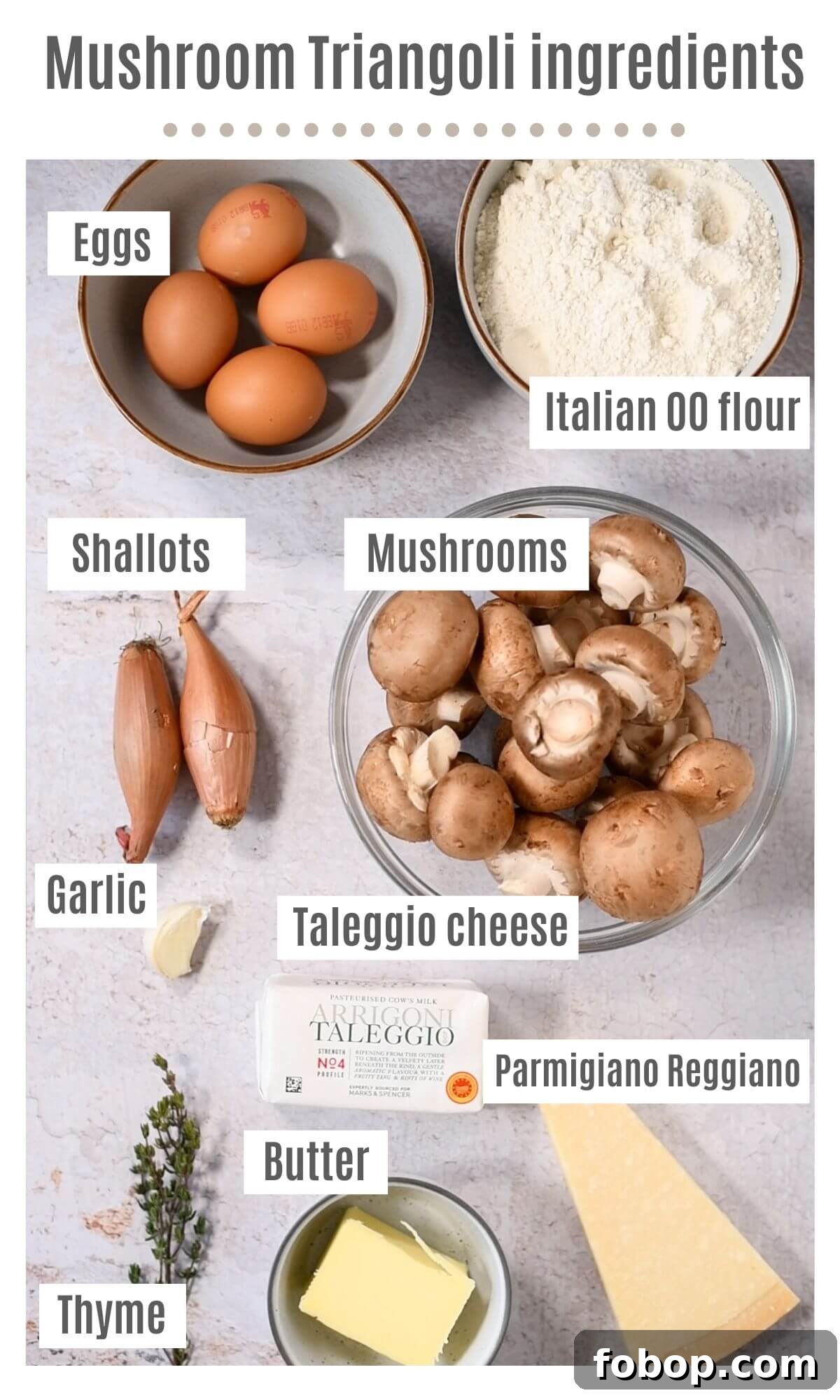 An overhead shot of all the ingredients needed to make Triangoli pasta with mushroom and Taleggio filling.