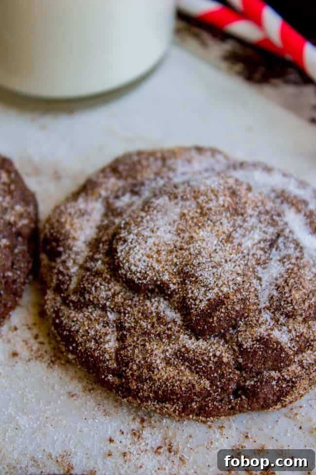 Mexican Hot Chocolate Cookies (Chocolate Snickerdoodles) Mexican hot chocolate cookies.
