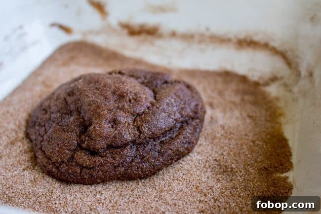 Mexican Hot Chocolate Cookies (Chocolate Snickerdoodles) a hot chocolate cookie getting sprinkled with cinnamon sugar.