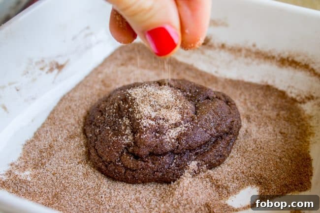 Mexican Hot Chocolate Cookies (Chocolate Snickerdoodles) chocolate snickerdoodles in cinnamon sugar.