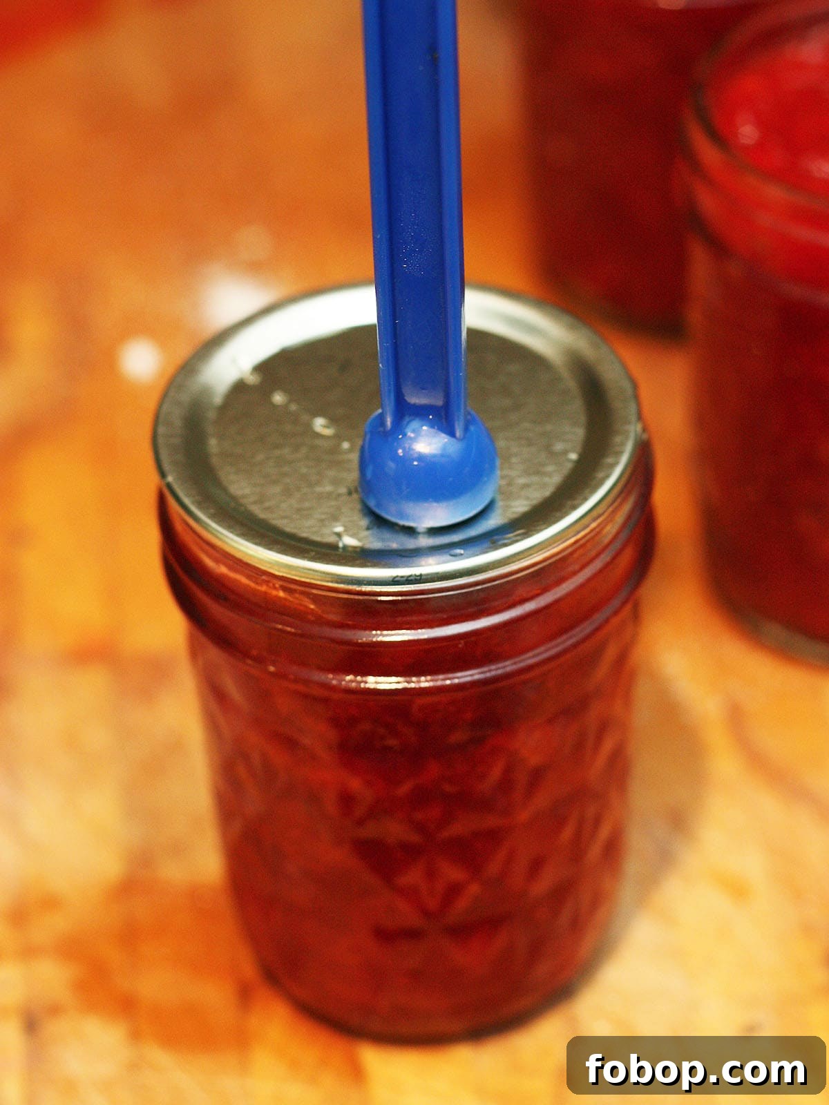 using a lid lifter to place a canning lid on top of a jar