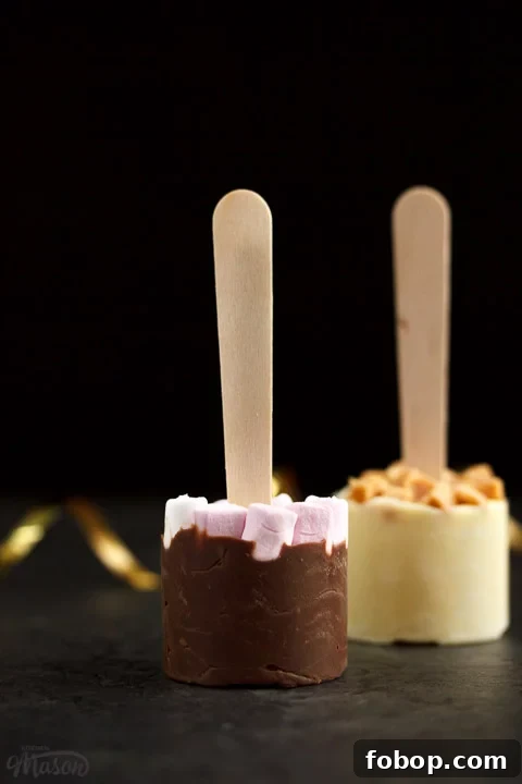 Hot chocolate sticks topped with fudge pieces and marshmallows surrounded by gold curling ribbon