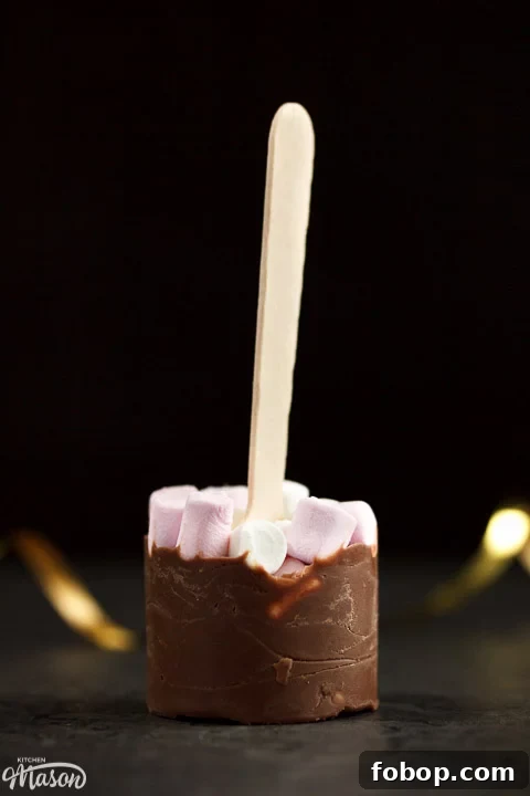 Milk hot chocolate stick topped with mini marshmallows