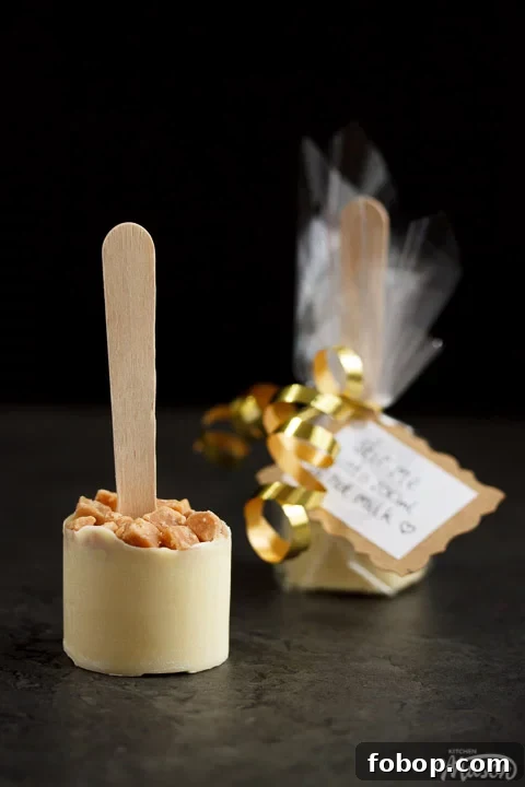 White hot chocolate sticks topped with fudge pieces