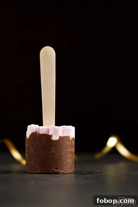 Milk hot chocolate stick topped with mini marshmallows