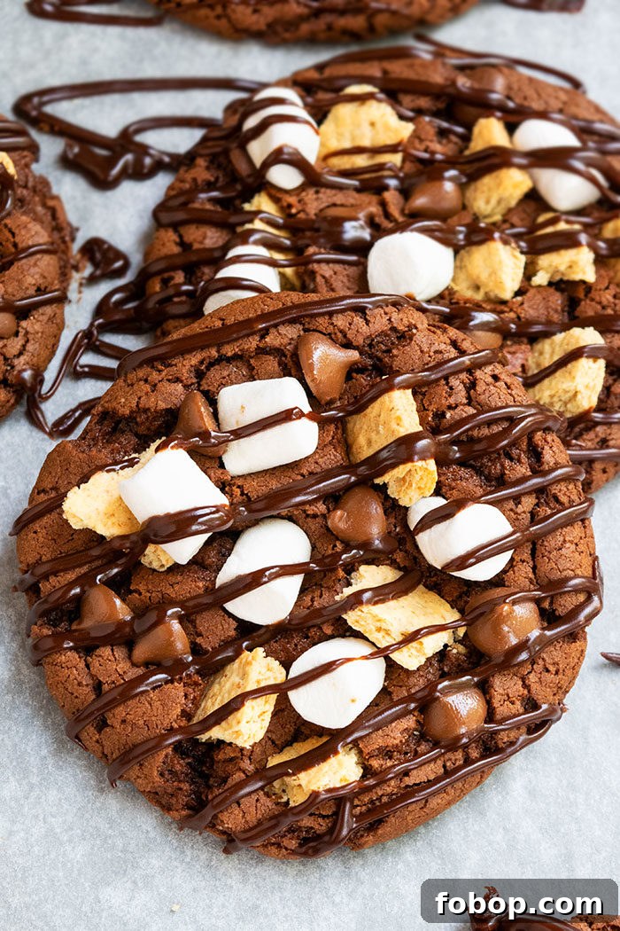 S'mores Cake Mix Cookies: Gooey Marshmallow Chocolate Treats 2 Soft and Chewy S'mores Cookies