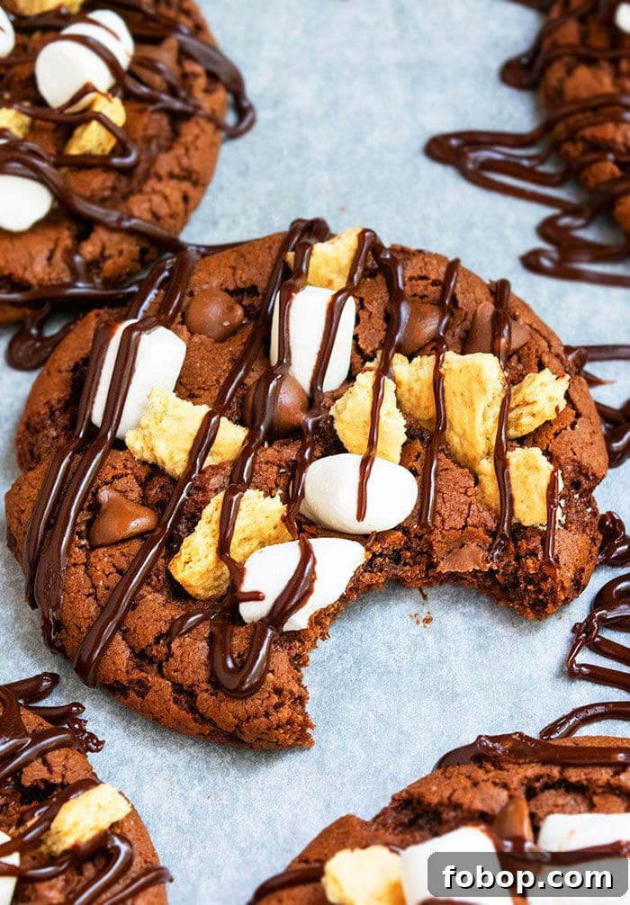 S'mores Cake Mix Cookies: Gooey Marshmallow Chocolate Treats 3 Smores Cookie Recipe with Graham Crackers, Marshmallows, Chocolate Chips