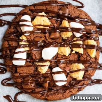 S'mores Cake Mix Cookies: Gooey Marshmallow Chocolate Treats 5 Easy Smores Cookies Recipe (With Cake Mix)