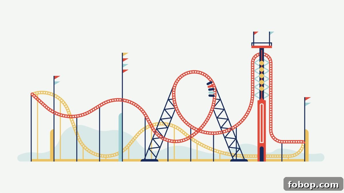roller coaster activity sheet