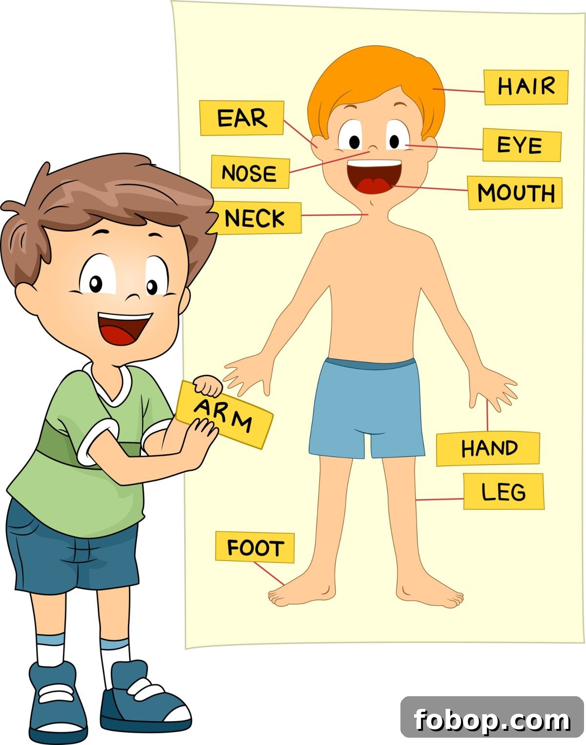body parts matching activity