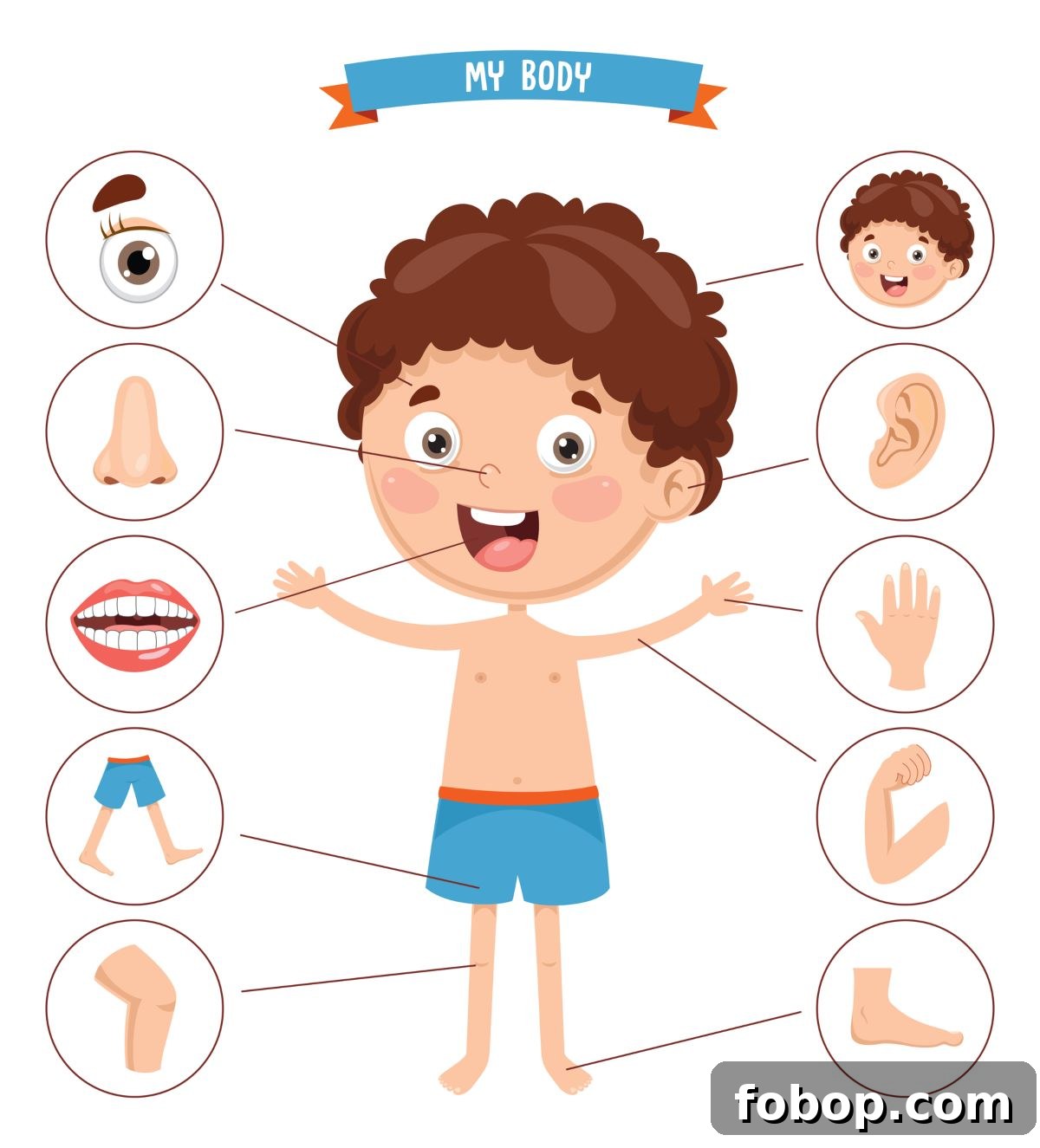 body parts activity
