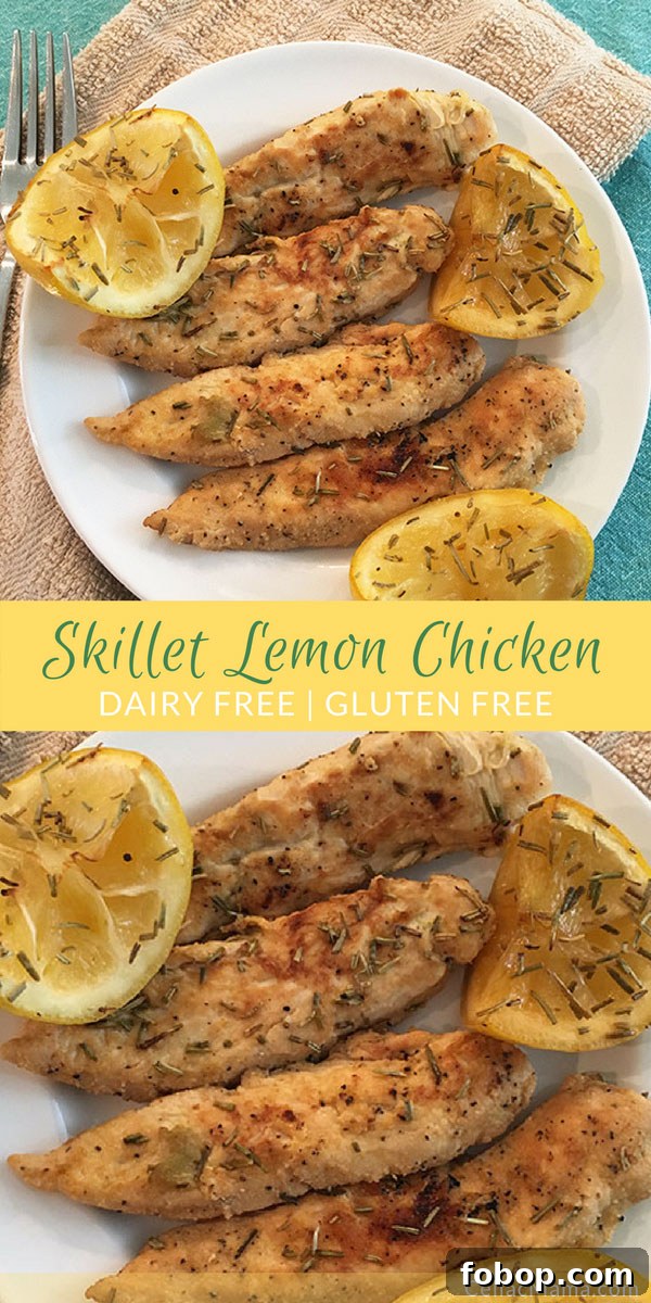 Zesty Lemon Chicken (Dairy-Free Recipe) 6 skillet-dairy-free-lemon-chicken