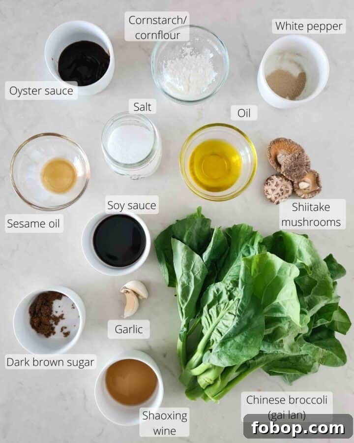 Overhead shot of all ingredients required for this dish