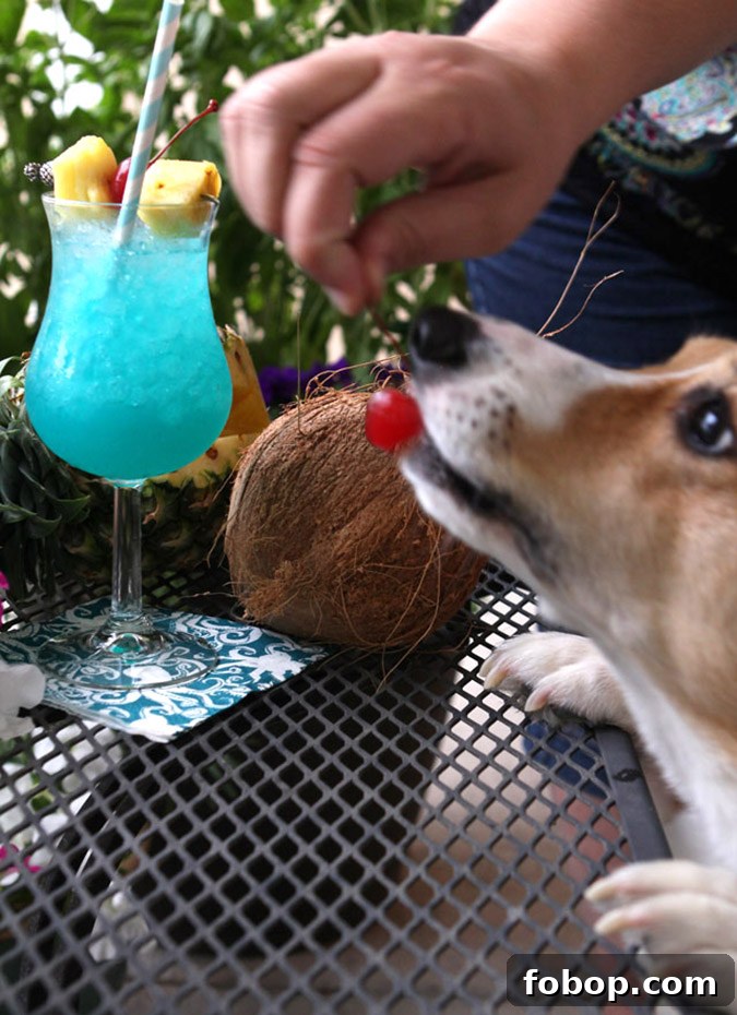 Blue Hawaii Cocktail Recipe: Classic Tropical Drink Guide 5 Blue Hawaii Cocktail