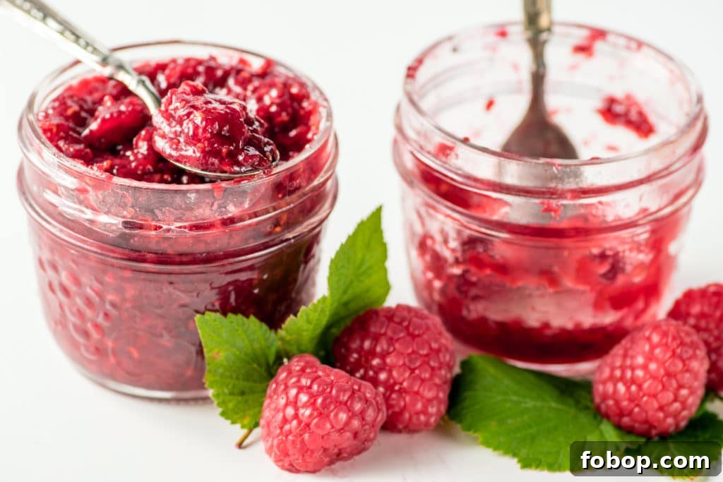 Shelf-Stable Low-Carb Raspberry Jam Recipe — Sugar-Free & Delicious 2 img 2045 1