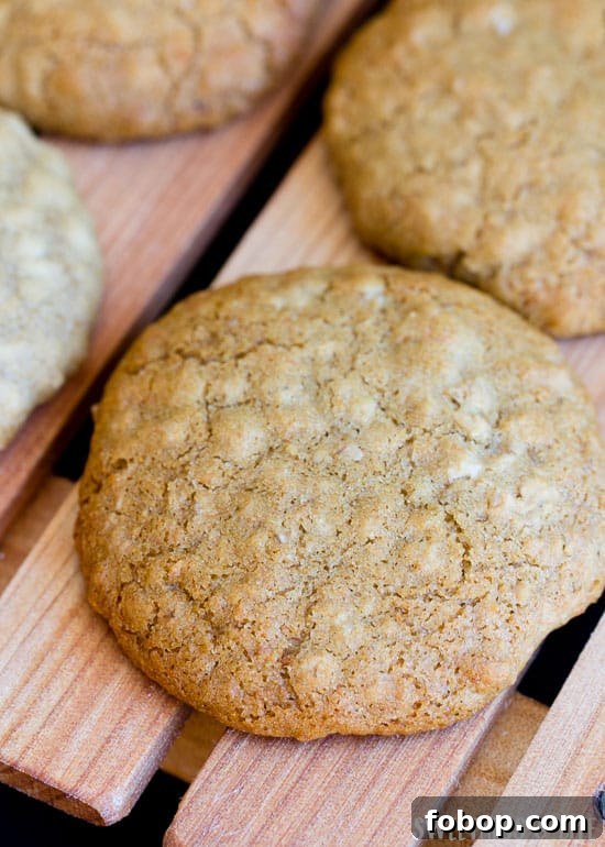 Gingerzac Biscuits — Crunchy Ginger Oat Cookies Recipe 4 Gingerzac Biscuits - A delicious cross between two classics: the Anzac Biscuit and the Gingernut.