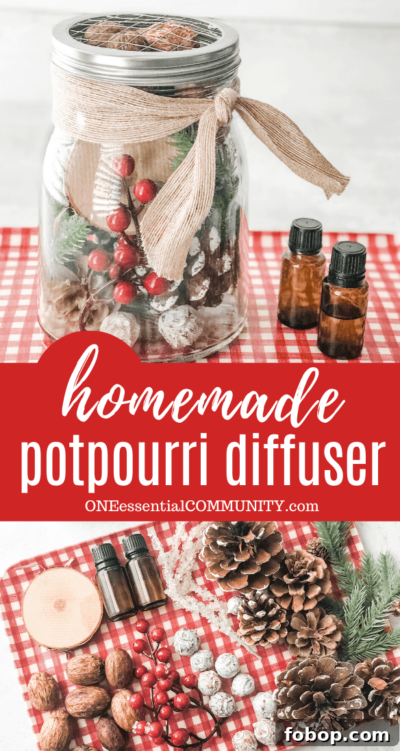 Christmas Potpourri Diffuser Ideas for Cozy Holiday Aromas 11 pinterest image of homemade potpourri diffuser for CHristmas