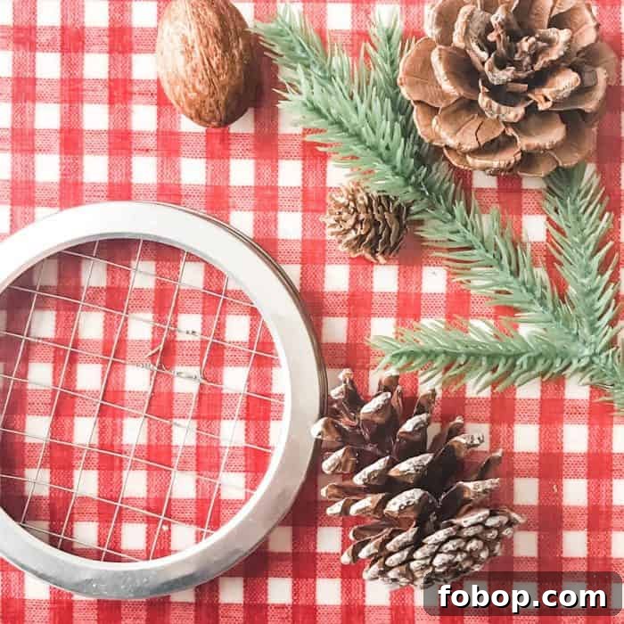 Christmas Potpourri Diffuser Ideas for Cozy Holiday Aromas 4 supplies to make holiday essential oil diffuser