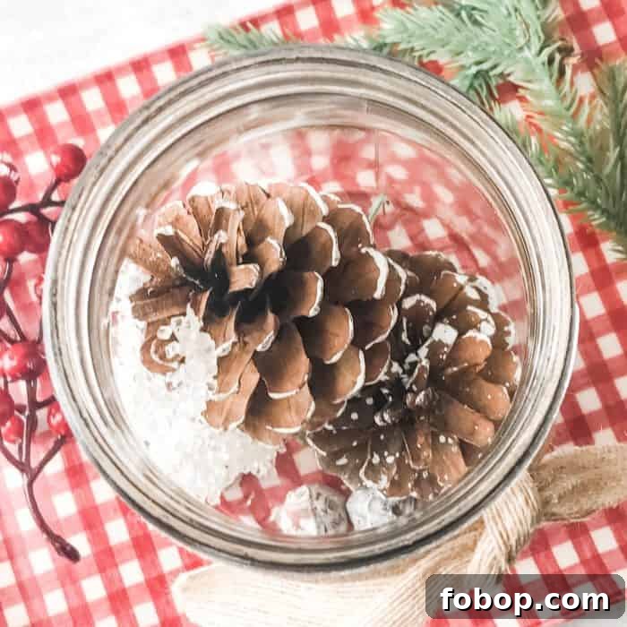 Christmas Potpourri Diffuser Ideas for Cozy Holiday Aromas 7 DIY Christmas essential oil diffuser in a mason jar
